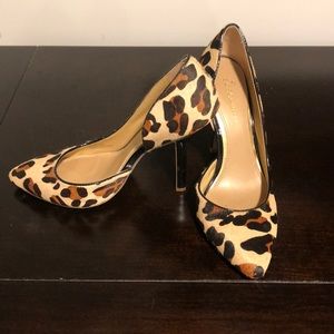 BCBG leopard heels
